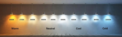 OSRAM H7 LED Headlight Bulb, 80W, Pair - Biker.Store - www.biker.store