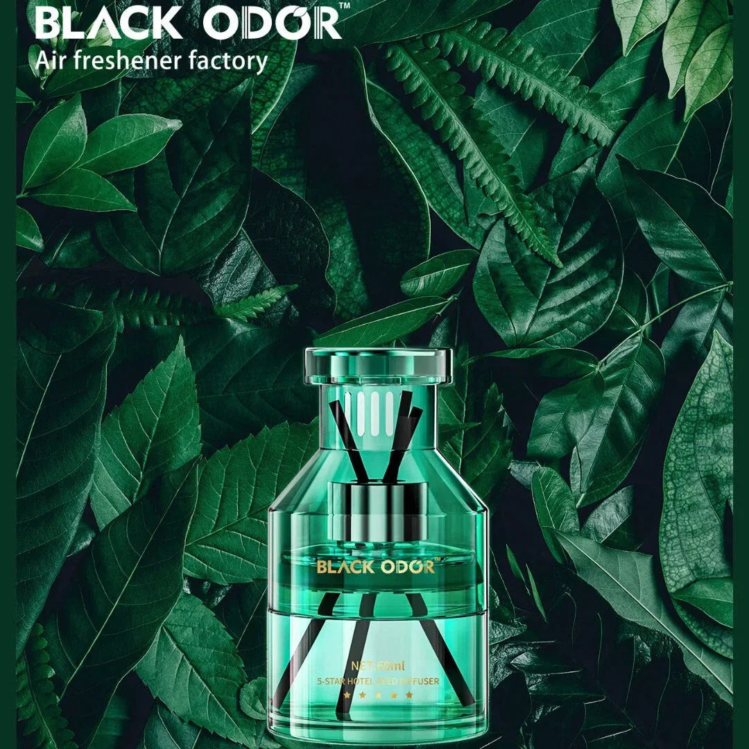 BLACK ODOR BO-12 Lucky Holiday Car Air Freshener | Natural Long-Lasting Fragrance for Car, Home & Office - Biker.Store - www.biker.store